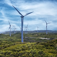 molinillos de viento