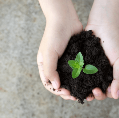 Beneficios Empresariales